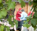 Südtirol Grillen