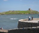 Irland Küstenwanderung Bray-Greystones