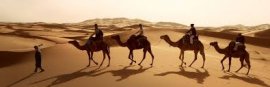 reisefamilie-singleurlaub